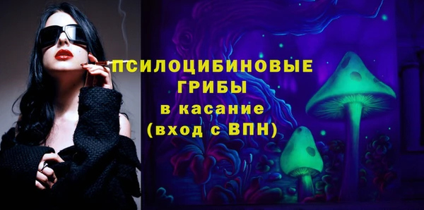 прущие грибы Беломорск