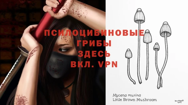 прущие грибы Беломорск