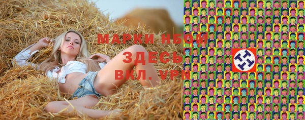 прущие грибы Беломорск