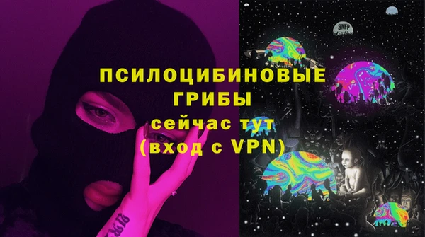 прущие грибы Беломорск