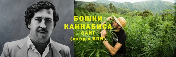 мдпв Долгопрудный
