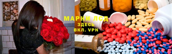 прущие грибы Беломорск