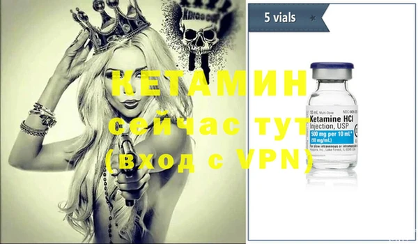 прущие грибы Беломорск