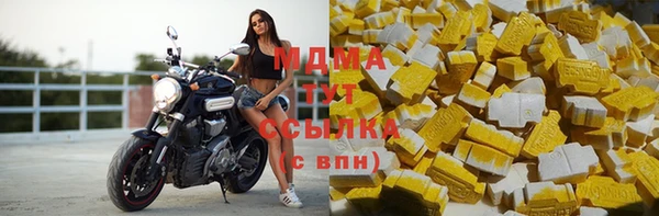 прущие грибы Беломорск